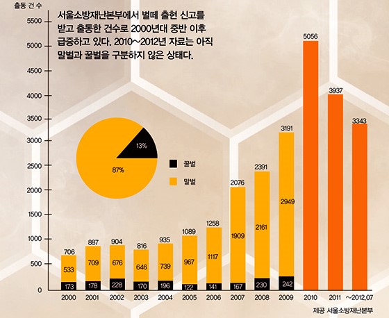  이미지 1